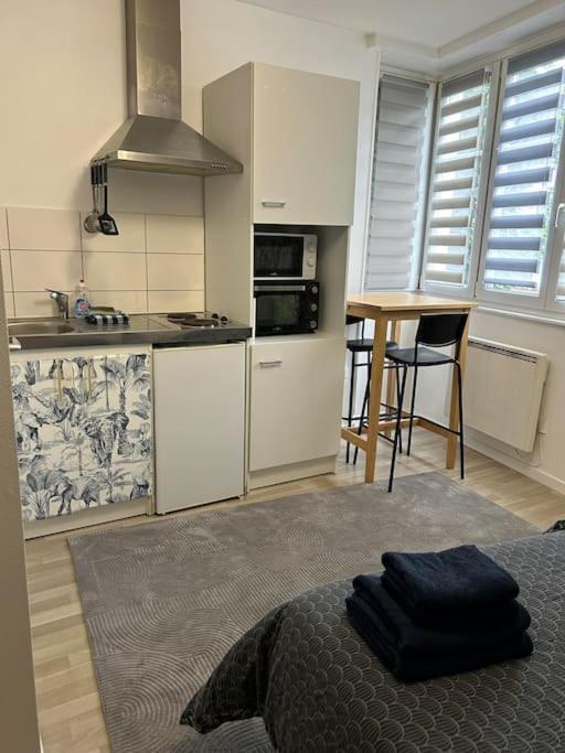 Studio Proche Du Centre-Ville Strasbourg Extérieur photo