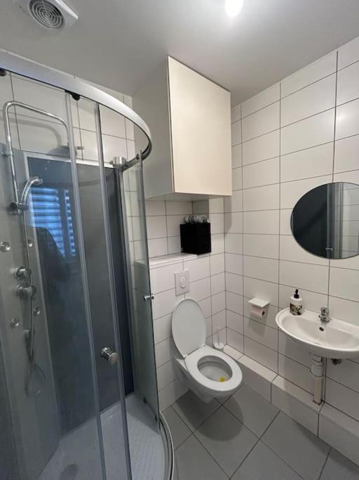Studio Proche Du Centre-Ville Strasbourg Extérieur photo