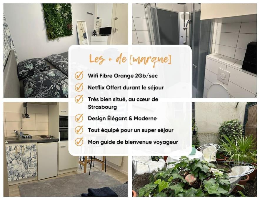 Studio Proche Du Centre-Ville Strasbourg Extérieur photo